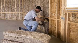 Best Eco-Friendly or Green Insulation Solutions in Cedar Glen West, NJ